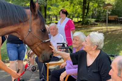 Návštěva terapeutického koně