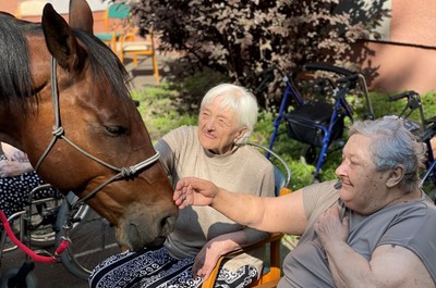 Návštěva terapeutického koně