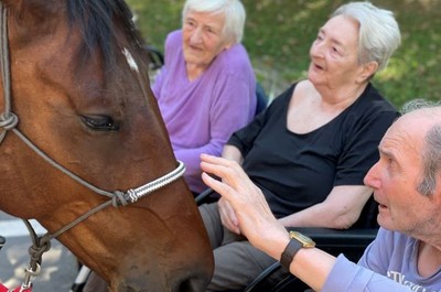 Návštěva terapeutického koně