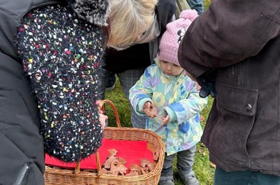 Adventní neděle - Zvonohra