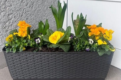 Jarní přípravy